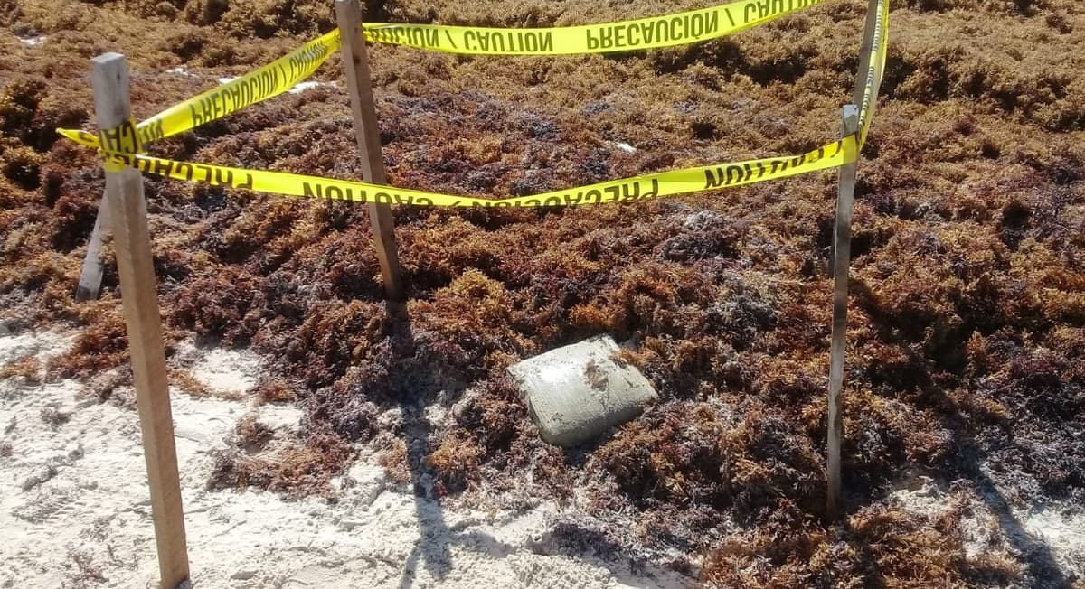 Aseguran paquete de droga en Solidaridad