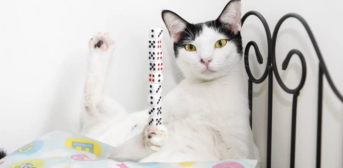 Cinco Récords Guinnes de locura