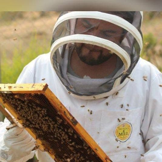 Tener estas plantas en casa ayuda a las abejas a no extinguirse