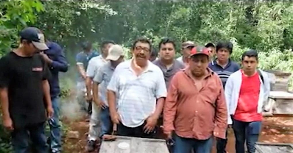 Apicultores mayas advierten que defenderán su territorio