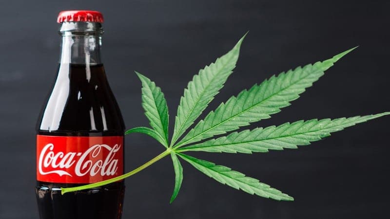 Coca-Cola podría desarrollar bebidas con marihuana