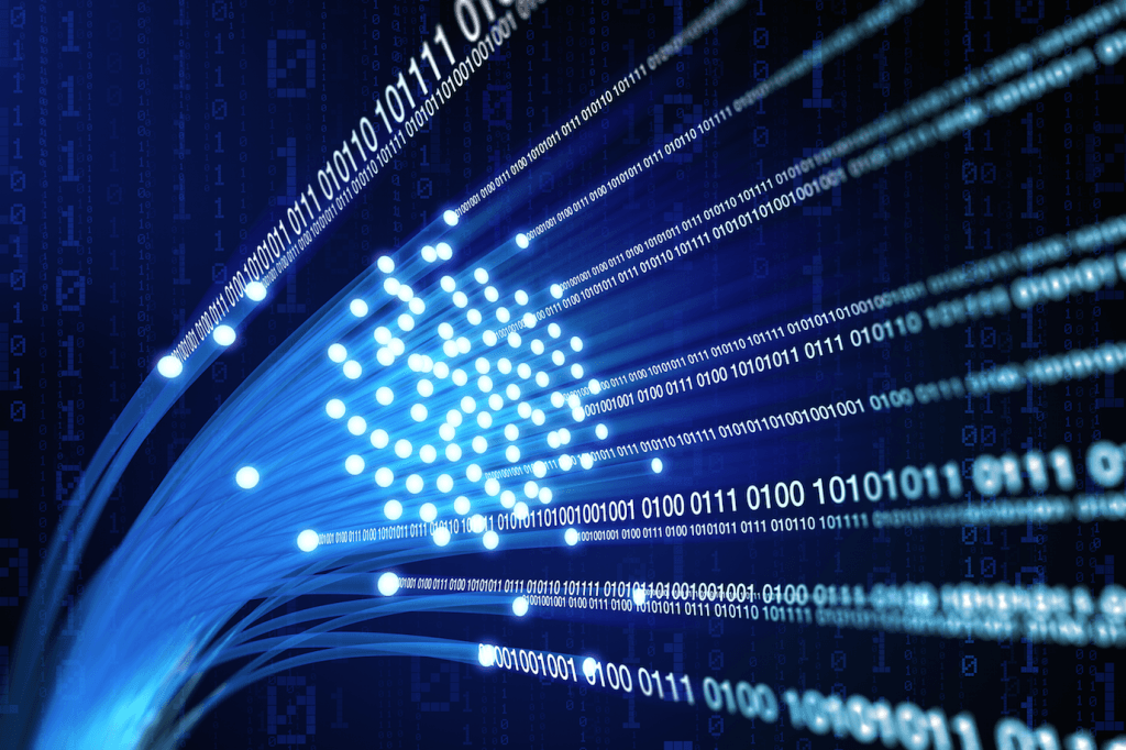 Van mil mdp invertidos en fibra óptica en Quintana Roo