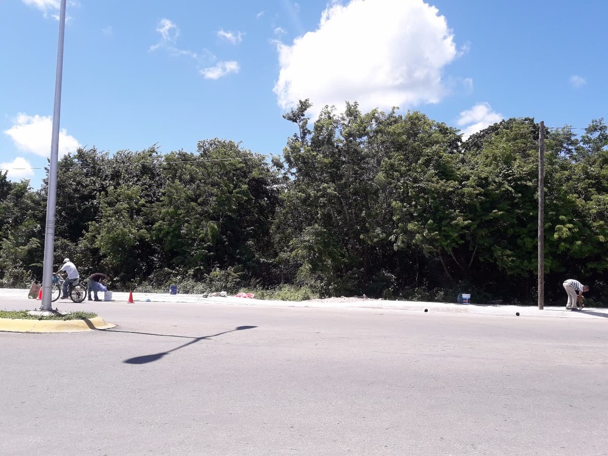 Volqueteros son sorprendidos saqueando terrenos estatales en Cozumel