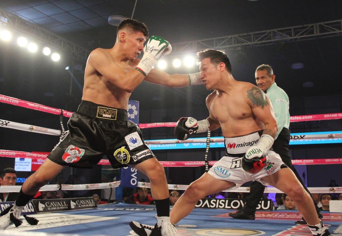 Box: “Chihuas” tumba a “Tyson” Márquez en Cozumel