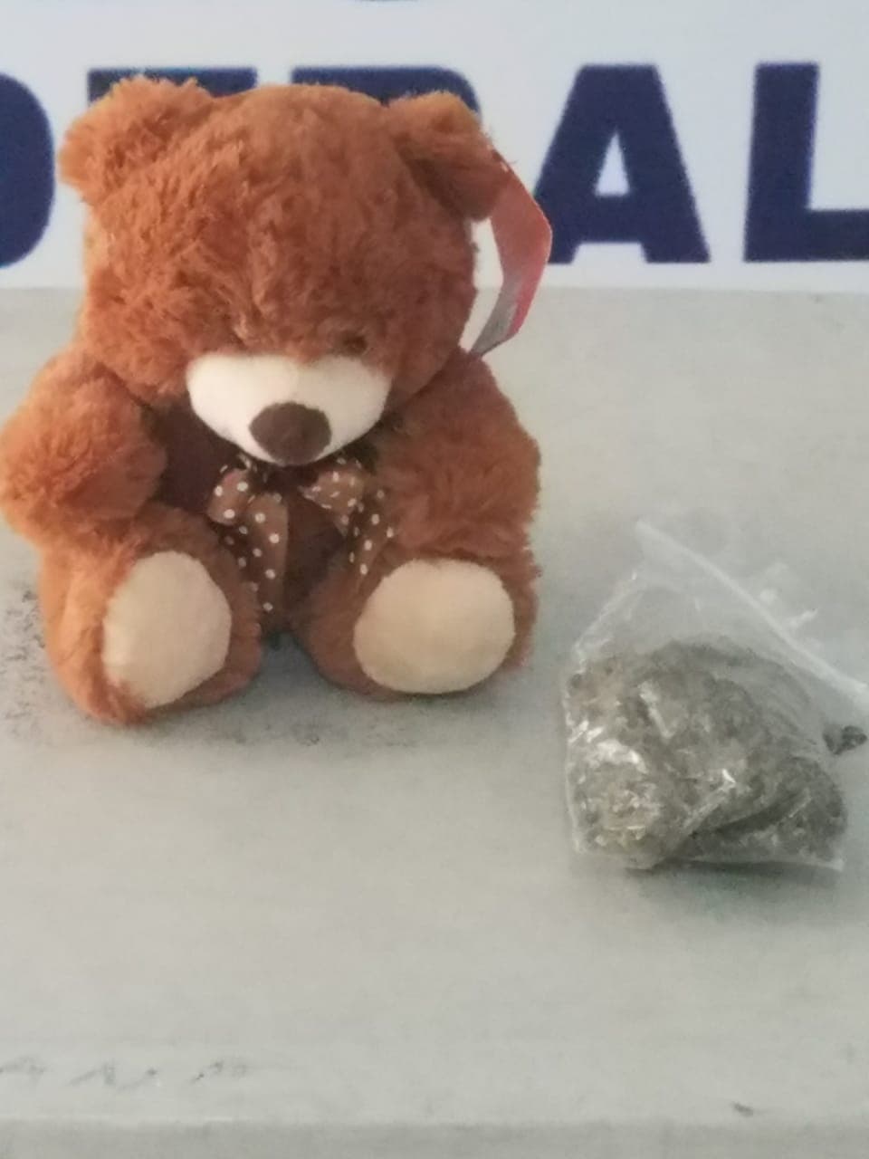 Narcoted: Detectan peluche relleno con marihuana