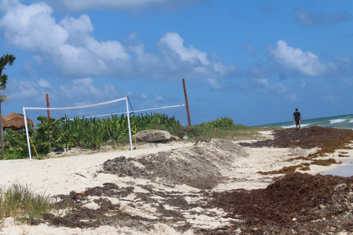 Se adueñan de playa en Punta Esmeralda