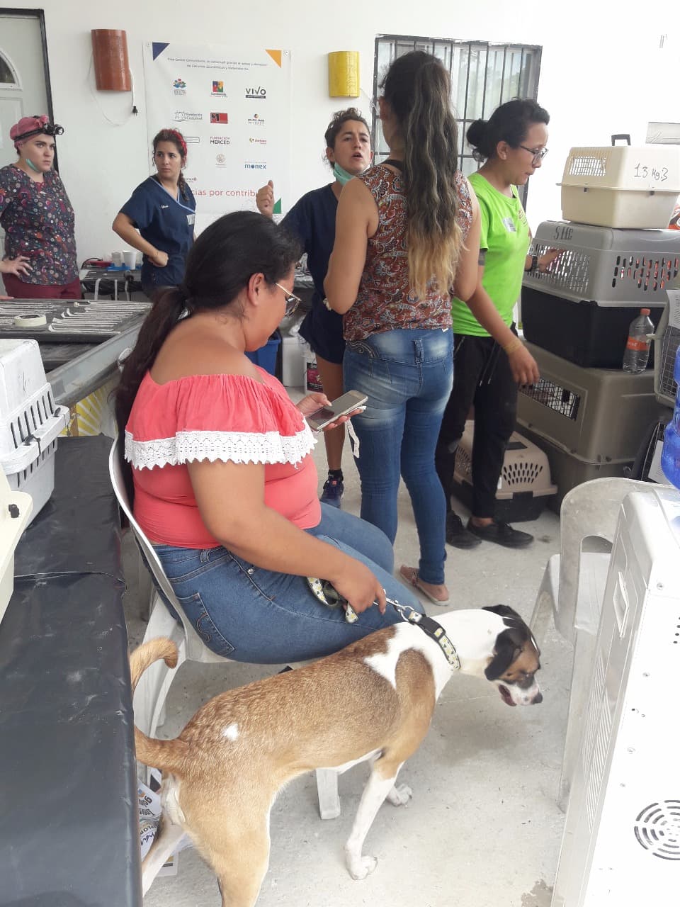 Detectan nuevo brote de moquillo en Cozumel