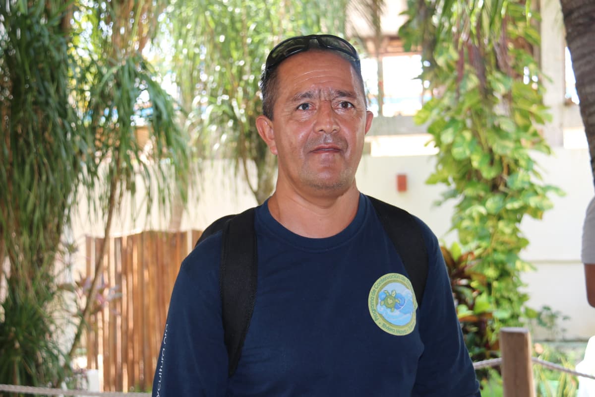 Preservan más de dos mil nidos de tortugas en Quintana Roo