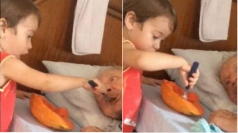 Video donde niño alimenta a su abuelito conmueve a las redes sociales