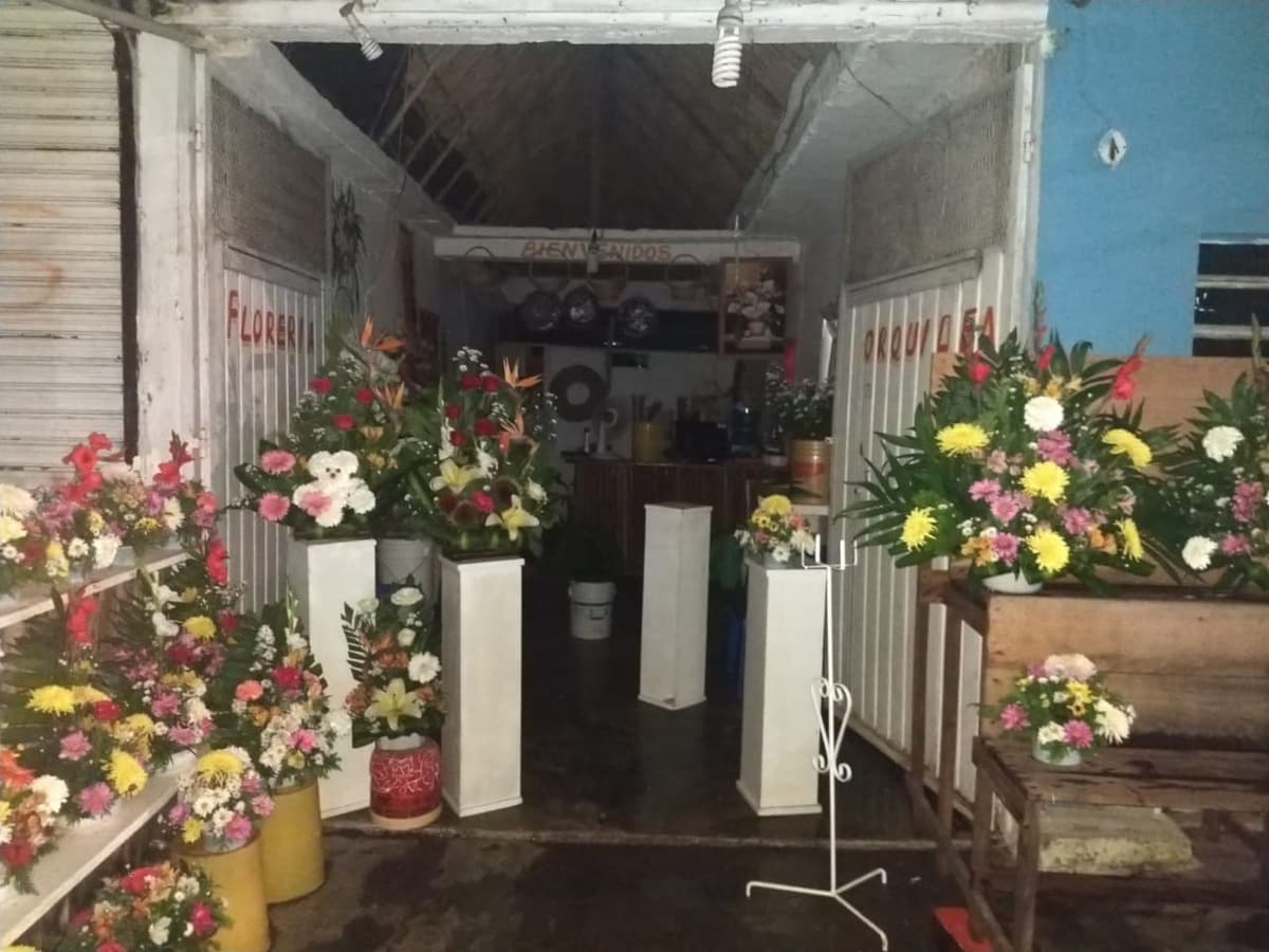 Ciudadanía se vuelca contra CFE por excesivas tarifas