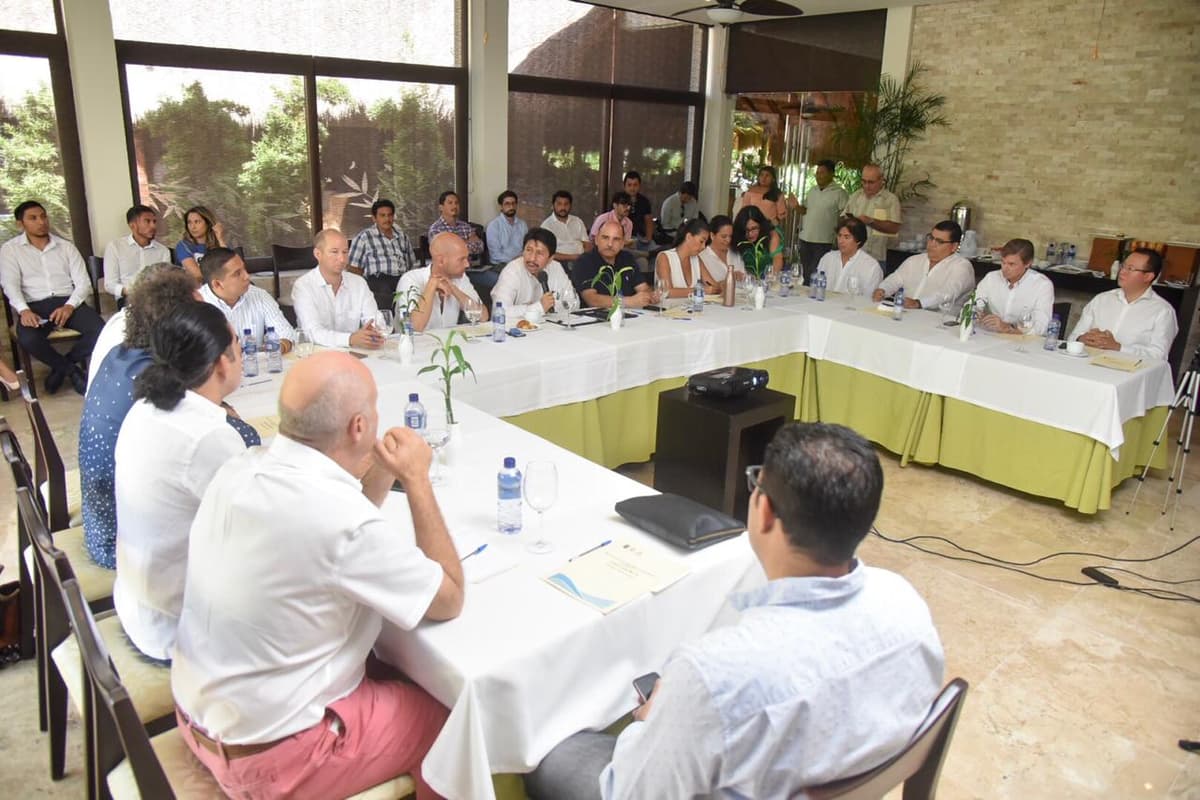 Tren Maya es positivo, pero debe ser sustentable: David Ortiz