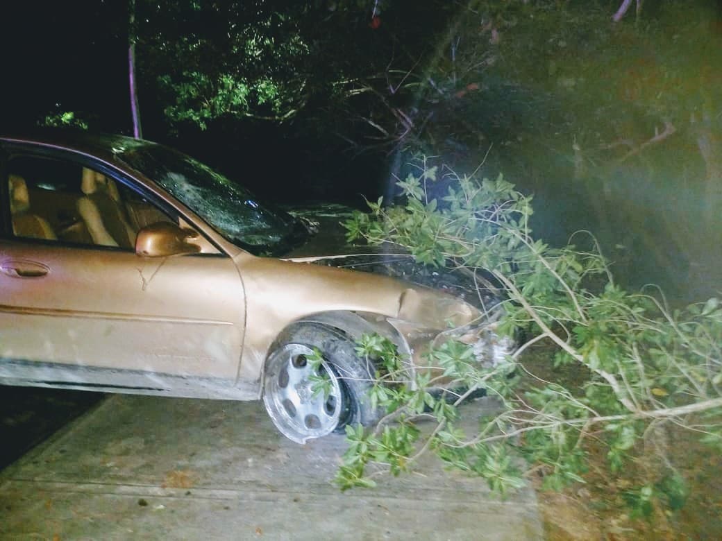 Hallan un auto entre los manglares en Chetumal