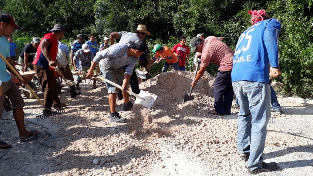 Campesinos le "echan la mano" a la autoridad para bachear