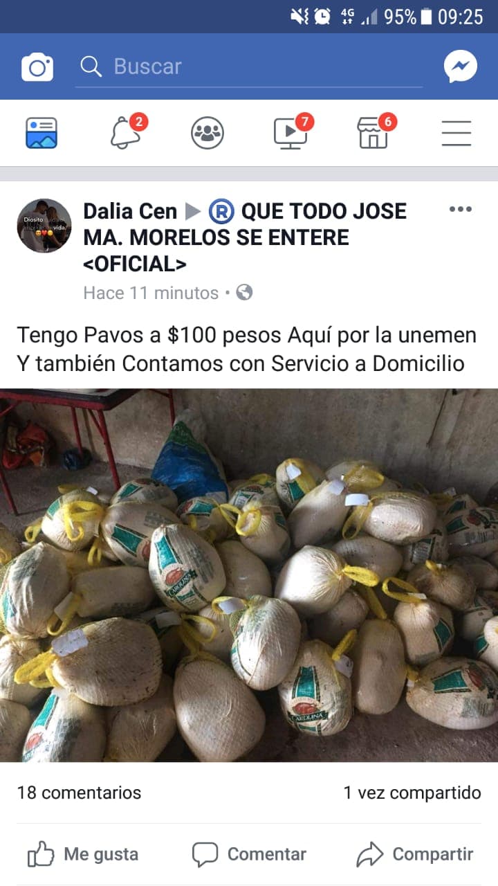 Saquean tráiler volcado con cientos de pavos y los venden por redes sociales