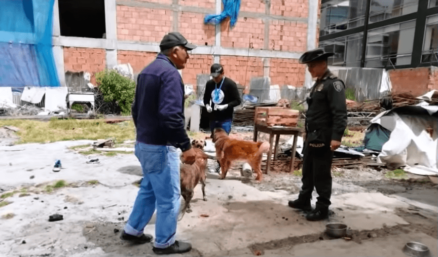 Joven abusaba sexualmente de su perrita y sus padres lo permitían