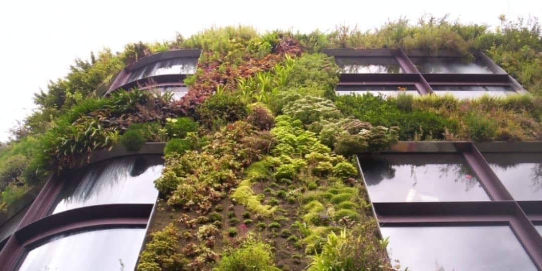 Apuesta Playa del Carmen por arquitectura ecológica