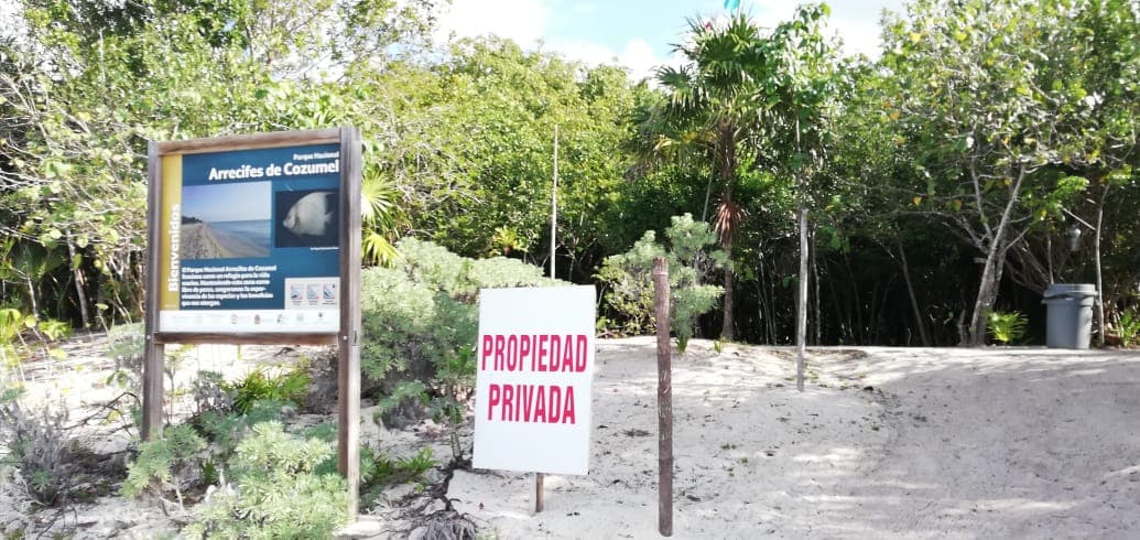 Acusan a Greg Sánchez de talar en humedal de Cozumel