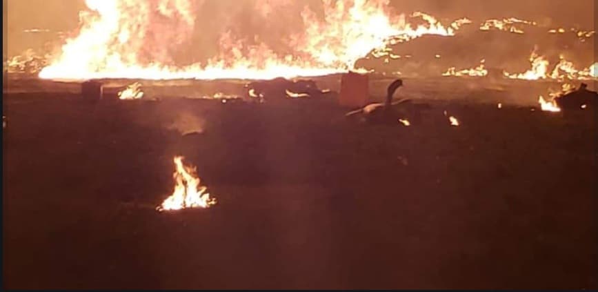 Registran 20 muertos tras explosión de toma clandestina en Hidalgo