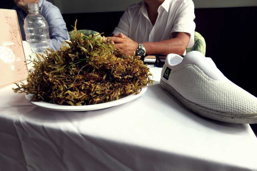 Presentan zapatos fabricados con sargazo y PET