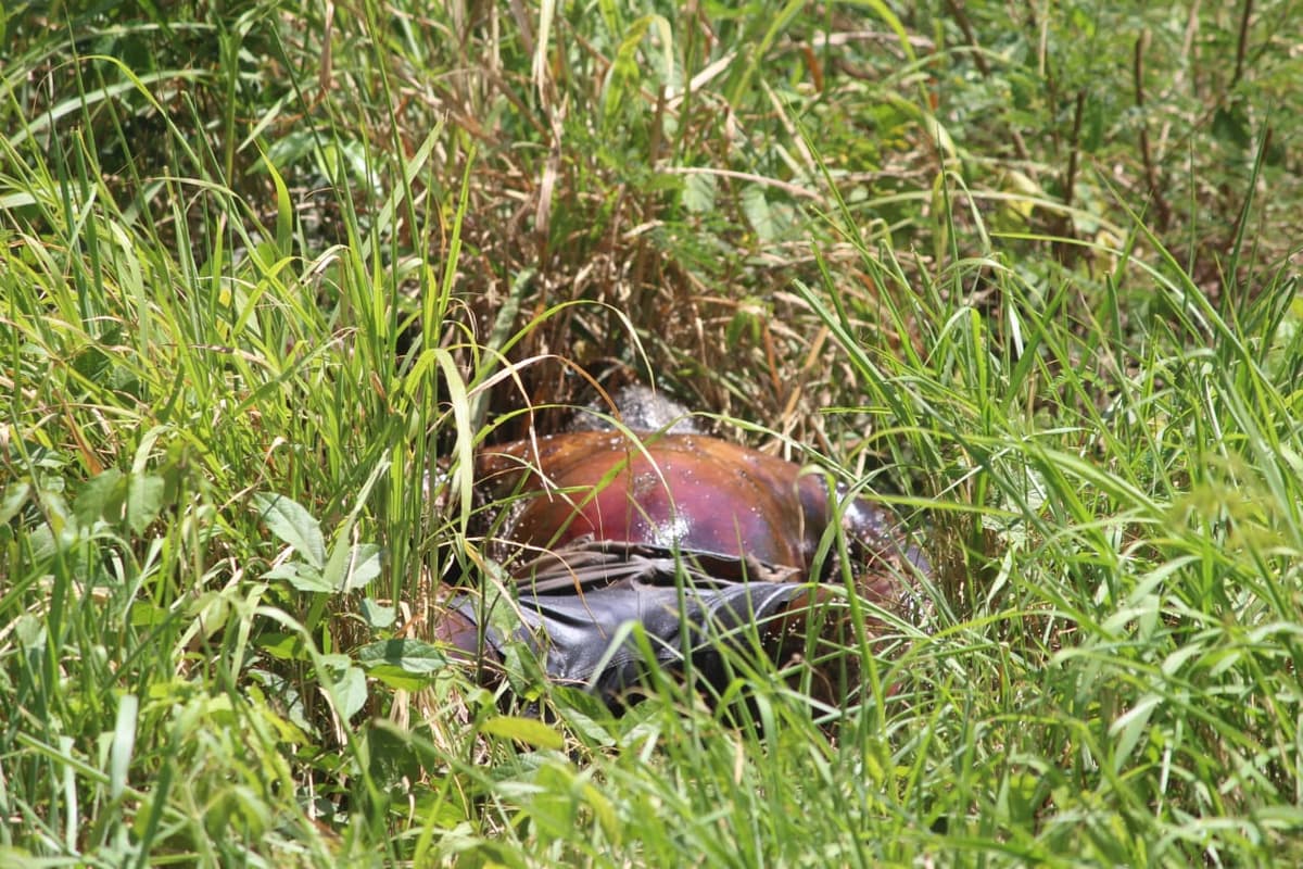 Hallan cuerpo putrefacto en Villamar