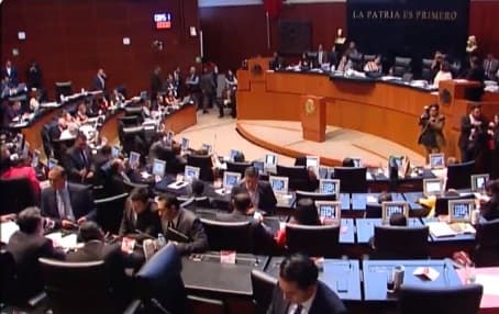 Senado aprueba en lo general el uso recreativo del cannabis y sus derivados
