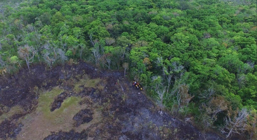 Controlan fuego de reserva ecológica de Campeche tras tres días de incendio