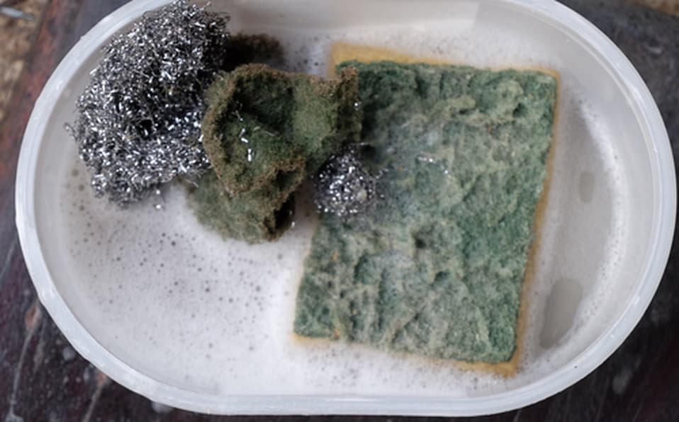 Esponjas de cocina tiene las mismas bacterias que heces fecales: estudio