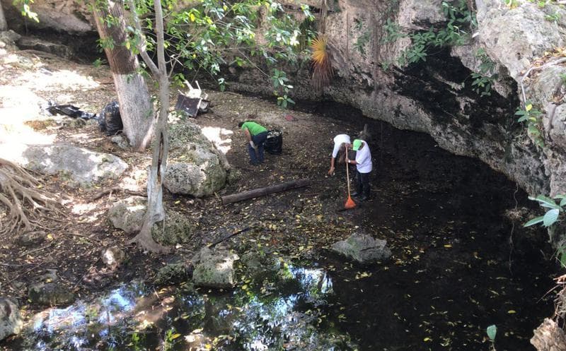 Contaminación de fosas sépticas acaban con el Gran Acuífero Maya