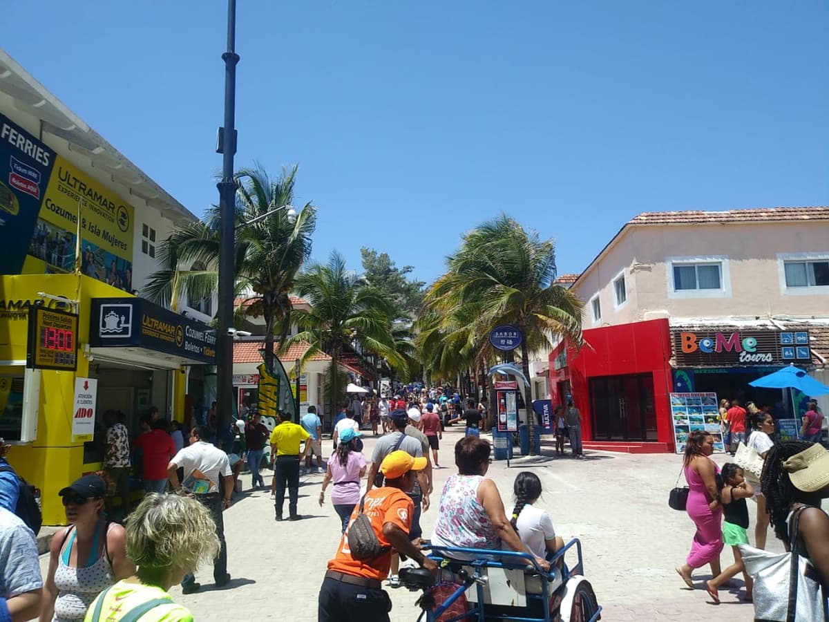 Sargazo y documentales tendenciosos no frenan arribo de visitantes a Playa del Carmen