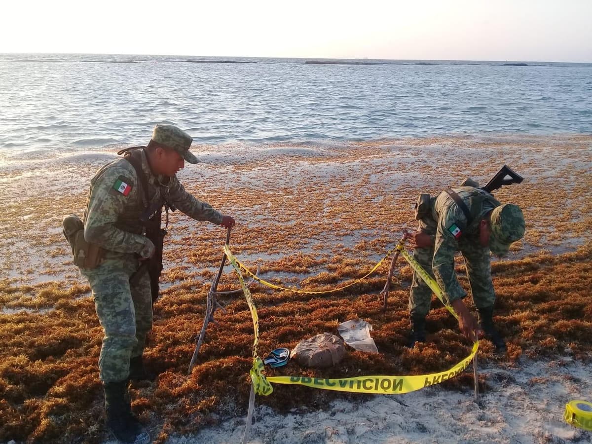 Recala paquete de marihuana en Riviera Maya
