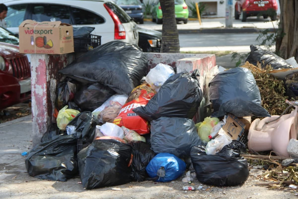 Llaman a solidarenses a depositar basura en Palacio Municipal