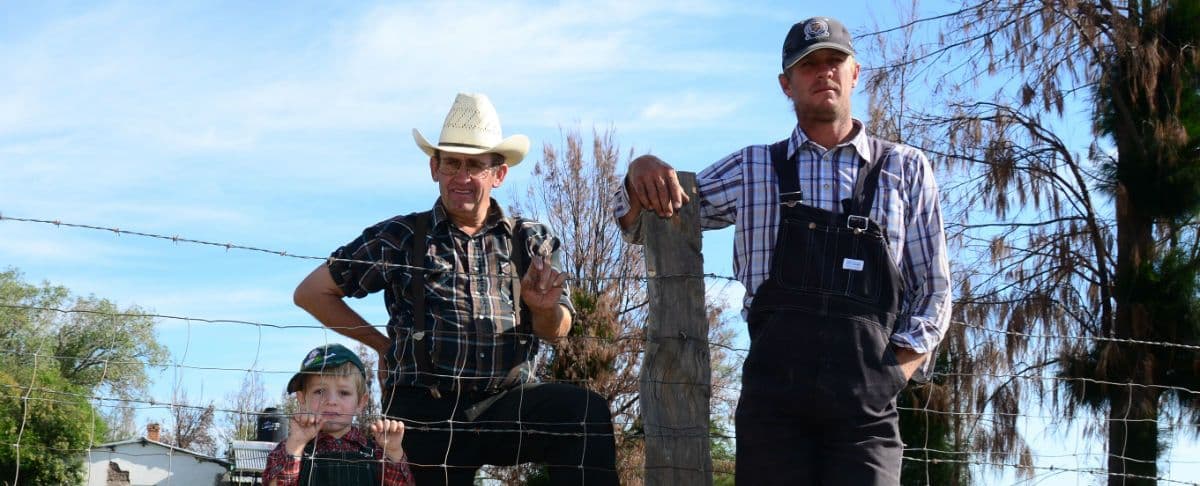 (VIDEO) Usuario critica a simpatizantes de AMLO y alaba a los menonitas