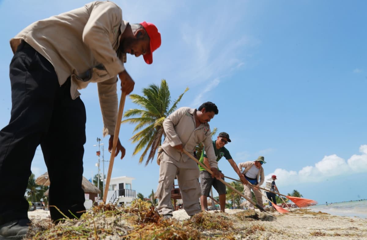 La grave falla de la Federación ante el sargazo