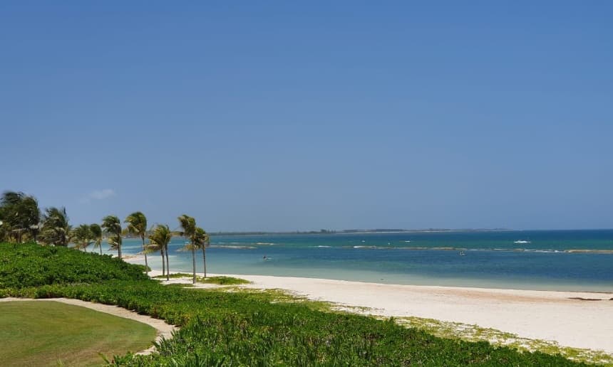 Ni todos los días, ni en todas las playas llega el sargazo: Carlos Joaquín