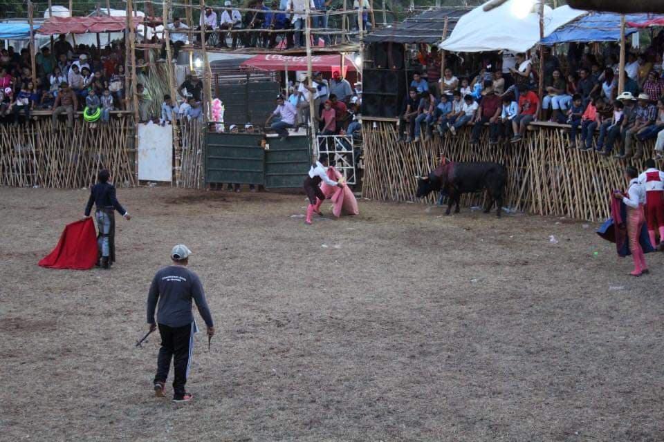 Al prohibir corridas de toros diputados mataron la Expomor: morelenses