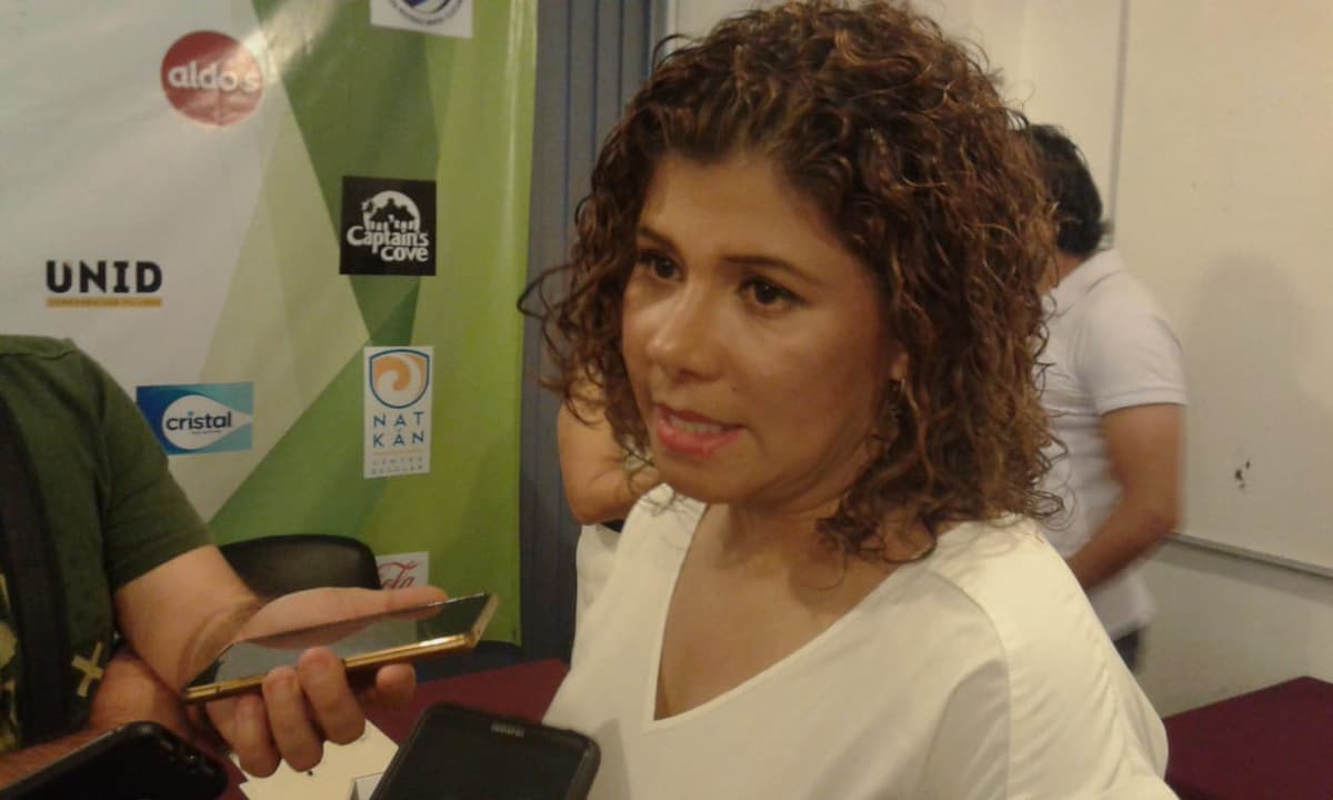 Morena no tiene experiencia para ser mayoría en el Congreso: Leslie Hendricks