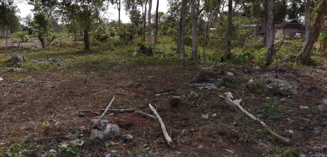Líder se “lleva al baile” a invasores en Tulum con venta de parque