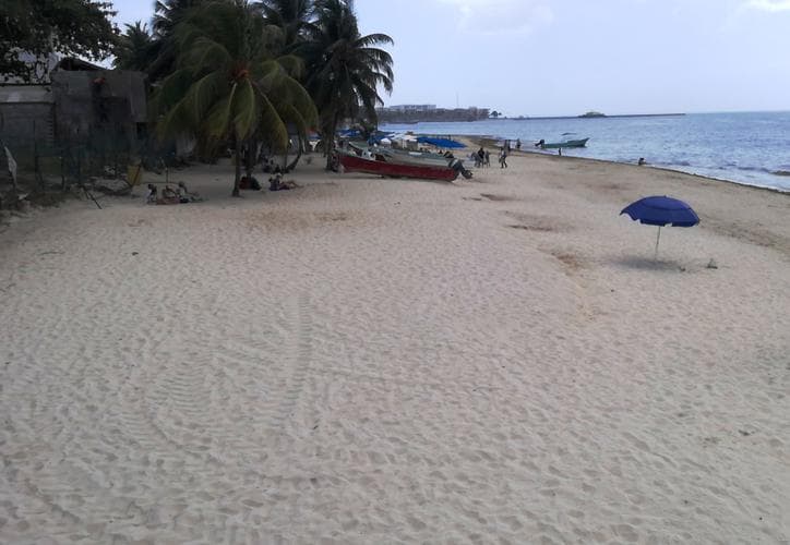 Arribo de sargazo disminuye en Playa del Carmen