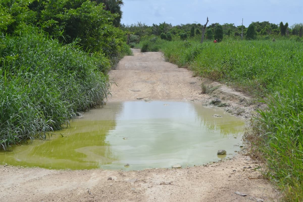 Cancelan pavimentación en camino a Laguna Ciega