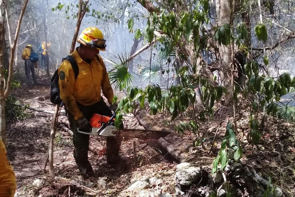 Incendio en Sian Ka’an, controlado en 70% y extinguido en un 40%