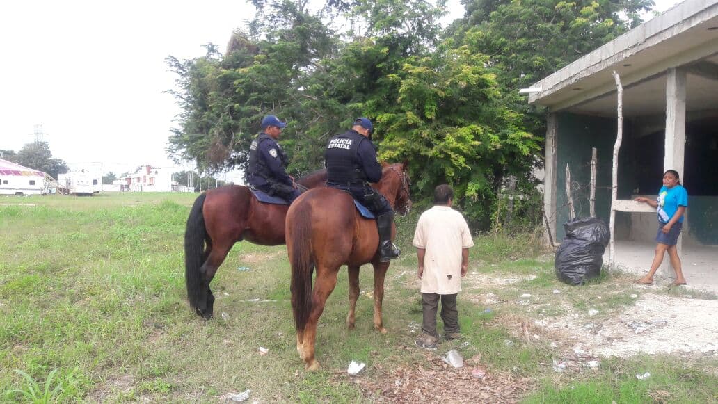 Edil de Cozumel venderá caballos de la Policía Montada