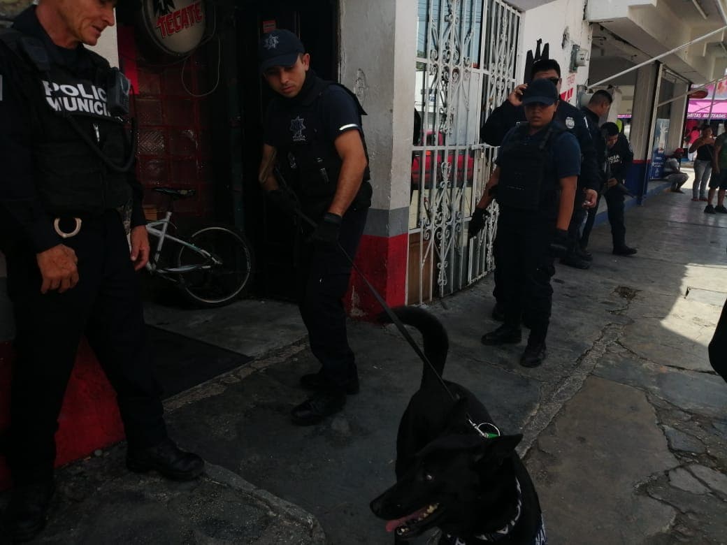 Intenso operativo en bar "Las Hamacas" de Playa del Carmen
