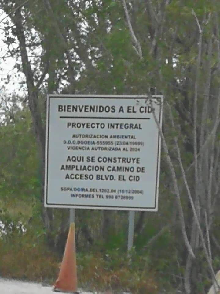 Hotel El Cid devasta y contamina manglar de Puerto Morelos; ambientalistas interponen amparo