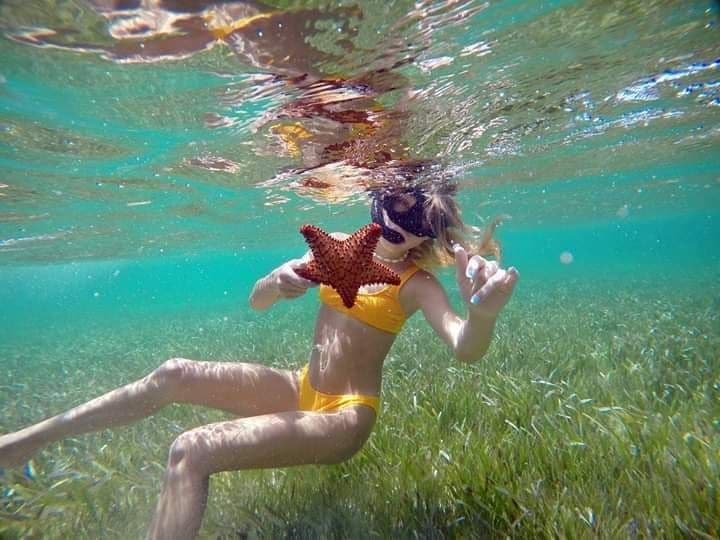 Turistas dañan a las estrellas marinas para tomarse fotos