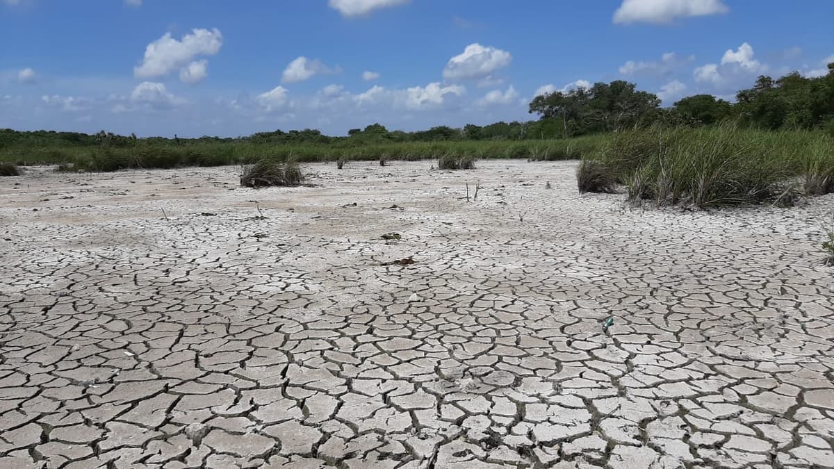 Se seca la sabana chetumaleña