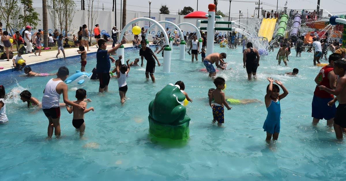 Hay restos fecales en las albercas de hoteles de Cancún: Cofepris