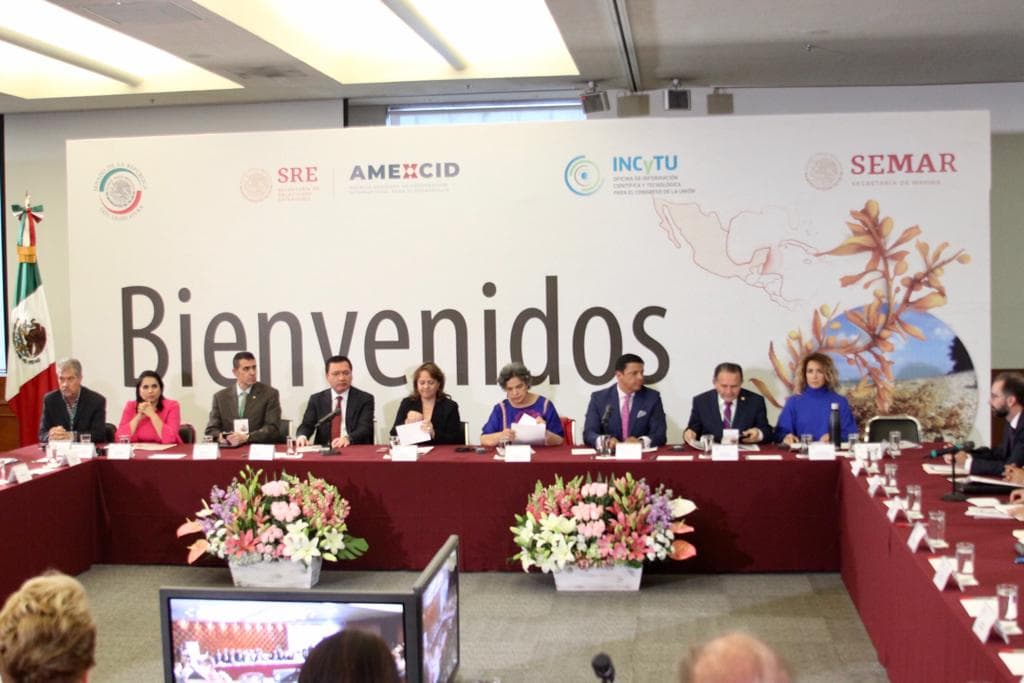 Sargazo tiene simple solución, pero si se otorgan los recursos adecuados: David Ortiz