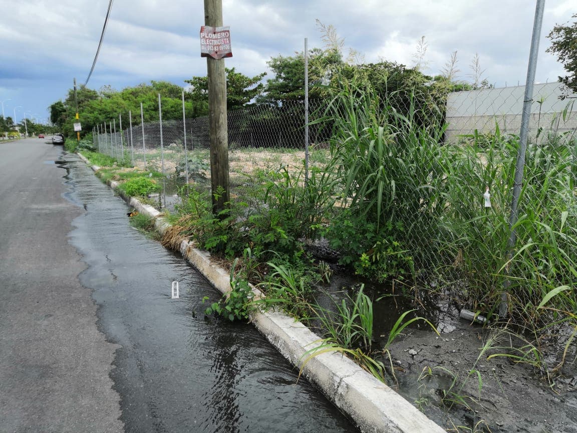 Calles de Chetumal se llenan de aguas negras