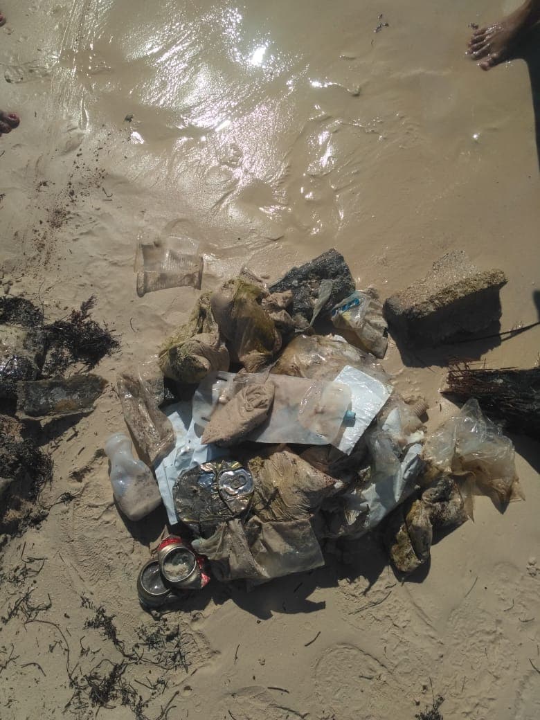 Sacan casi media tonelada de plásticos que contaminaban los pasto marinos de Puerto Morelos