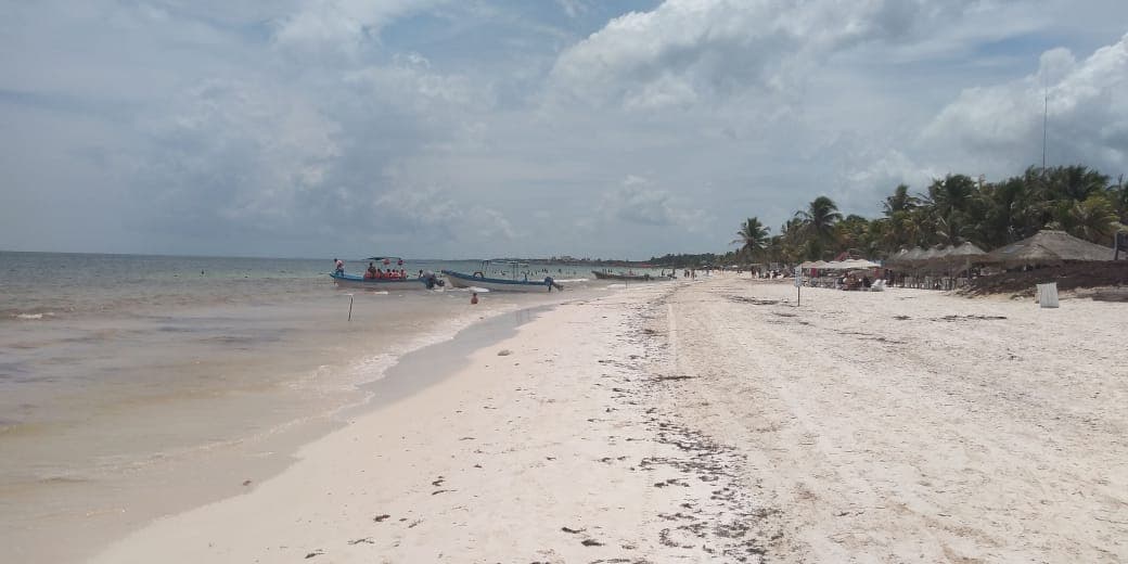 Lluvias en Tulum “ahuyentan” sargazo